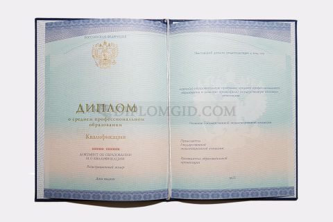 диплом среднее образование 2014-2026